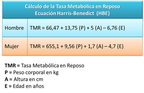 Ecuación Harris-Benedict para el calculo de la tasa metabólica en reposo