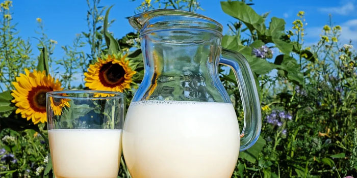 dairy products 